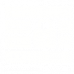 secure